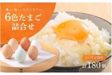 【3回定期便】キムラファームの産みたて卵 6色たまご詰合せ 60個 産みたてたまご たまご 卵 玉子 タマゴ 鶏卵 オムレツ 卵かけご飯 たまご焼き 新潟県 五泉市 先行予約（2025年9月以降順次発送）