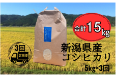 【先行予約】【3回定期便】令和7年産 新米 五泉産 コシヒカリ 精米 5kg (5kg×1袋) 新潟県 五泉市 株式会社蛇場農産