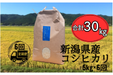 【先行予約】【6ヶ月定期便】 令和7年産 新米 五泉産 コシヒカリ 精米 5kg (5kg×1袋) 新潟県 五泉市 株式会社蛇場農産