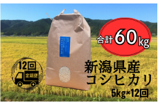【先行予約】【12ヶ月定期便】令和7年産 新米 五泉産 コシヒカリ 精米 5kg (5kg×1袋) 新潟県 五泉市 株式会社蛇場農産