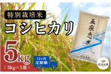 令和7年産 新米 【 定期便 12ヶ月 】 米 5kg × 12回 五泉産 コシヒカリ五泉恵米 特別栽培米 | 白米 精米 こしひかり お米 おこめ コメ こめ 新潟県 五泉市 渡辺農園 [10月中旬以降順次発送] 