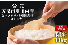 【2025年産新米】【6ヶ月定期便】五泉市奥川内産 お米ソムリエ特別栽培米 コシヒカリ 精米 10kg(5kg×2袋) 新潟県 五泉市 ライスファーマーやまかね