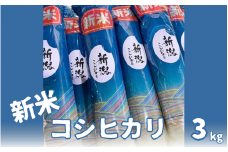 新米 コシヒカリ 精米 3kg 新潟県 五泉市 まるっと五泉プロジェクトFunSpace株式会社