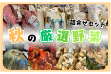 ラポルテ五泉秋の厳選野菜詰合せ [2025年9月以降順次発送] [4～5品種お届け]  新潟県 五泉市 まるっと五泉プロジェクトFunSpace株式会社