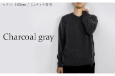 Vネックセーター カシミヤ 100% ( チャコールグレー・L ) メンズ 日本製 | ニット Vネック 薄手 無地 シンプル 長袖 秋冬 冬 新潟県 五泉市 高橋ニット株式会社