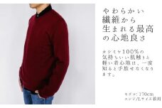 カシミヤ100％ Vネックセーター（メンズ） エンジ・LL 新潟県 五泉市 高橋ニット株式会社