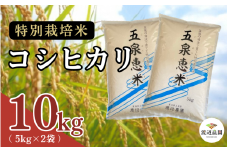令和7年産 新米 【 先行予約 】 米 10kg ( 5kg × 2袋 ) 五泉産 コシヒカリ 五泉恵米 特別栽培米 | 白米 精米 こしひかり お米 おこめ コメ こめ おすすめ 人気 新潟県 五泉市 渡辺農園 [10月中旬以降順次発送] 