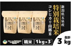 令和7年産 特別栽培米 新潟県五泉産コシヒカリ 「南郷米」 3kg 精米 新潟県 五泉市 ファームみなみの郷