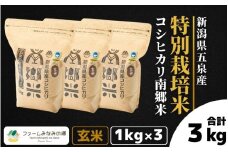 令和7年産 特別栽培米 新潟県五泉産コシヒカリ 「南郷米」 玄米 3kg 新潟県 五泉市 ファームみなみの郷