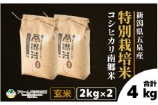 令和7年産 特別栽培米 新潟県五泉産コシヒカリ 「南郷米」 玄米 4kg 新潟県 五泉市 ファームみなみの郷
