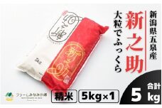 令和7年産 新之助 精米 5kg 新潟県 五泉市 ファームみなみの郷