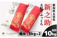 令和7年産 新之助 精米 10kg 新潟県 五泉市 ファームみなみの郷