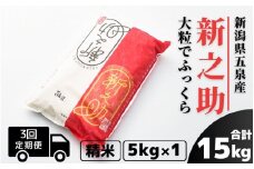 【令和7年産新米】 〈3回定期便〉 新之助 精米 5kg（5kg×1袋）新潟県 五泉市 有限会社ファームみなみの郷