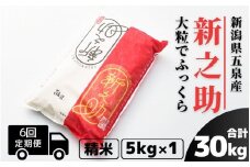 【令和7年産新米】 〈6回定期便〉 新之助 精米 5kg（5kg×1袋） 新潟県 五泉市 有限会社ファームみなみの郷