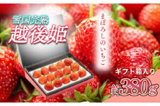 いちご 新潟 雪国完熟越後姫シングル（約380g）ギフト箱入り イチゴ 苺 フルーツ お取り寄せ 贈り物 上越