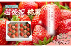 いちご 新潟 雪国完熟越後姫桃薫 約200g×2P食べ比べセット イチゴ 苺 お取り寄せ ギフト 贈り物 上越