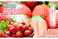 いちご 新潟 雪国完熟越後姫 約200g×2P イチゴ 苺 フルーツ 果物 お取り寄せ ギフト 贈り物 上越
