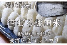 米 雪むろ 棚田米 コシヒカリ 5kg 精白米 お米 こめ こしひかり ユキノハコ 新潟 新潟県産 上越 上越市