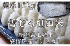 米 雪むろ 棚田米 コシヒカリ 10kg 精白米 こしひかり お米 こめ おすすめ ふるさと納税 ユキノハコ 新潟 新潟県産 にいがた 上越 上越産