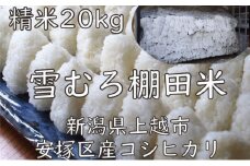 米 雪むろ 棚田米 コシヒカリ 20kg 精白米 こしひかり お米 こめ おすすめ ふるさと納税 ユキノハコ 新潟 新潟県産 にいがた 上越 上越産