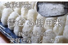 米 雪むろ 棚田米 コシヒカリ 5kg 玄米 こしひかり お米 こめ おすすめ ふるさと納税 ユキノハコ 新潟 新潟県産 にいがた 上越 上越産
