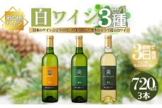 ワイン 岩の原ワイン 希少ぶどう品種 白 3本 セット お酒 おすすめ 岩の原 ふるさと納税 酒 新潟 上越