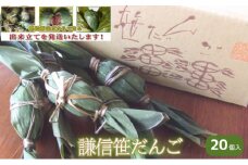 笹団子 謙信笹だんご 20個入り ささだんご 草餅 よもぎ 団子 和菓子 あんこ おやつ 上越市 新潟