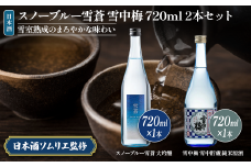 日本酒 スノーブルー雪蒼 雪中梅 720ml 2本 セット お酒 おすすめ 酒 ふるさと納税 新潟 新潟県産 にいがた 上越 上越産