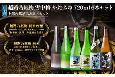 日本酒 越路乃紅梅 雪中梅 かたふね 720ml 6本 セット 雪中梅 かたふね 飲み比べ 越路乃紅梅 越路乃紅梅 お酒 ふるさと納税 新潟 新潟県産 にいがた 上越 上越産
