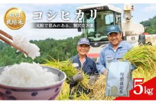 米 特別栽培米 コシヒカリ ( 白米 ) 5kg×1袋 こしひかり お米 コメ