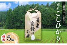 米 【先行予約】上越頸城産 産直こしひかり精米5kg【産地限定】 お米 コメ 精米 上越