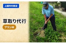 草取り 代行プラン Ｍ（上越市内限定）草刈り 手作業 雑草 除草 上越市