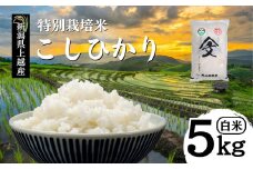 米 令和6年産 新潟県上越産「 特別栽培米 コシヒカリ 」 白米 5kg こしひかり お米 こめ おすすめ ふるさと納税 新潟 新潟県産 にいがた 上越 上越産