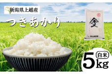 米 令和6年産 新潟県上越産「 つきあかり 」 白米 5kg ツキアカリ お米 こめ ふるさと納税 新潟 新潟県産