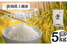 米 令和6年産 新潟県上越産「 みずほの輝き 」 白米 5kg お米 こめ ふるさと納税 新潟 新潟県産 上越