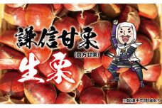 倉方甘栗 生栗 3kg（1kg×3）【氷蔵熟成栗謙信甘栗】新潟 上越 栗 くり