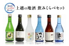 【 限定 | 父の日ギフト | 感謝の熨斗付き 】上越の地酒飲み比べセット300ml×6種  飲み比べ セット 新潟 にいがた 上越