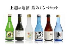 上越の地酒飲み比べセット300ml×6種 飲み比べ セット 新潟 にいがた 上越