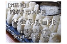 定期便 6ヶ月 雪むろ 棚田米 コシヒカリ 5kg 精白米 [定期便]毎月発送(計6回) こしひかり 米 お米 こめ おすすめ ユキノハコ 新潟 新潟県産 にいがた 上越 上越産