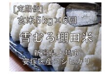 定期便 6ヶ月 雪むろ 棚田米 コシヒカリ 5kg 玄米 [定期便]毎月発送(計6回) こしひかり 米 お米 こめ おすすめ ユキノハコ 新潟 新潟県産 にいがた 上越 上越産