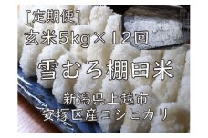 定期便 12ヶ月 雪むろ 棚田米 コシヒカリ 5kg 玄米 [定期便]毎月発送(計12回) こしひかり 米 お米 こめ おすすめ ユキノハコ 新潟 新潟県産 にいがた 上越 上越産