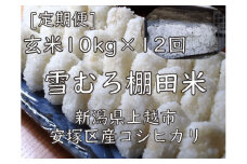 定期便 12ヶ月 雪むろ 棚田米 コシヒカリ 10kg 玄米 [定期便]毎月発送(計12回) こしひかり 米 お米 こめ おすすめ ユキノハコ 新潟 新潟県産 にいがた 上越 上越産