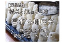 定期便 3ヶ月 雪むろ 棚田米 コシヒカリ 20kg 精白米 [定期便]毎月発送(計3回) こしひかり 米 お米 こめ おすすめ ユキノハコ 新潟 新潟県産 にいがた 上越 上越産