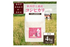 米 200kg数量限定 令和5年／新潟上越産「標高480ｍの山間地で育てた棚田米コシヒカリ」玄米4kg コシヒカリ