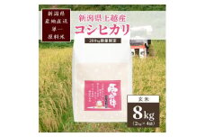 米 200kg数量限定 令和5年／新潟上越産「標高480ｍの山間地で育てた棚田米コシヒカリ」玄米8kg コシヒカリ