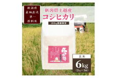 米 200kg数量限定 令和5年／新潟上越産「標高480ｍの山間地で育てた棚田米コシヒカリ」玄米6kg コシヒカリ