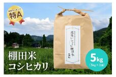 米 新潟県上越産米／令和5年／山間地で育てた「棚田米 コシヒカリ 精米5kg」（5kg×1袋） お米 コシヒカリ