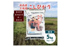 米 令和6年産・新潟県上越産／コシヒカリ 精米5kg（1袋）｜美味安全野菜栽培士が栽培したお米 こしひかり
