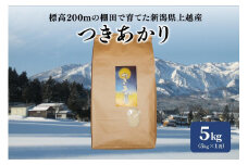 米 お米 標高200ｍで育てた棚田米 令和5年産 早生品種つきあかり精米5kg こめ 新潟県産 上越 上越産