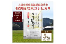 米 お米 数量限定 令和5年産 新潟県上越市吉川区国田産 新潟県認証米/特別栽培米 コシヒカリ 精米5kg